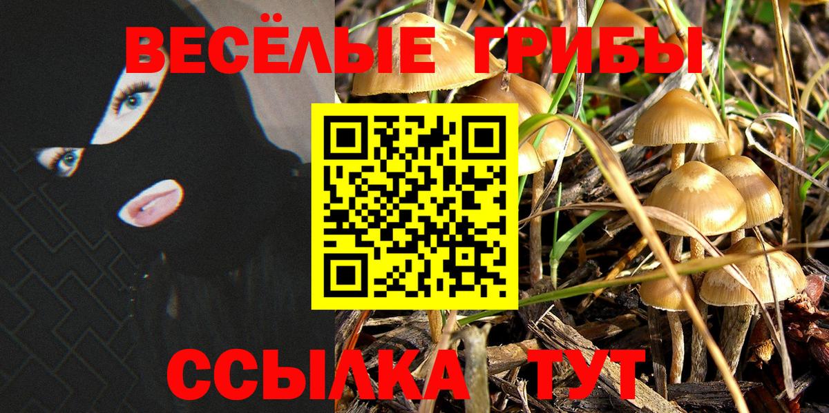 Псилоцибиновые грибы ЛСД Мценск