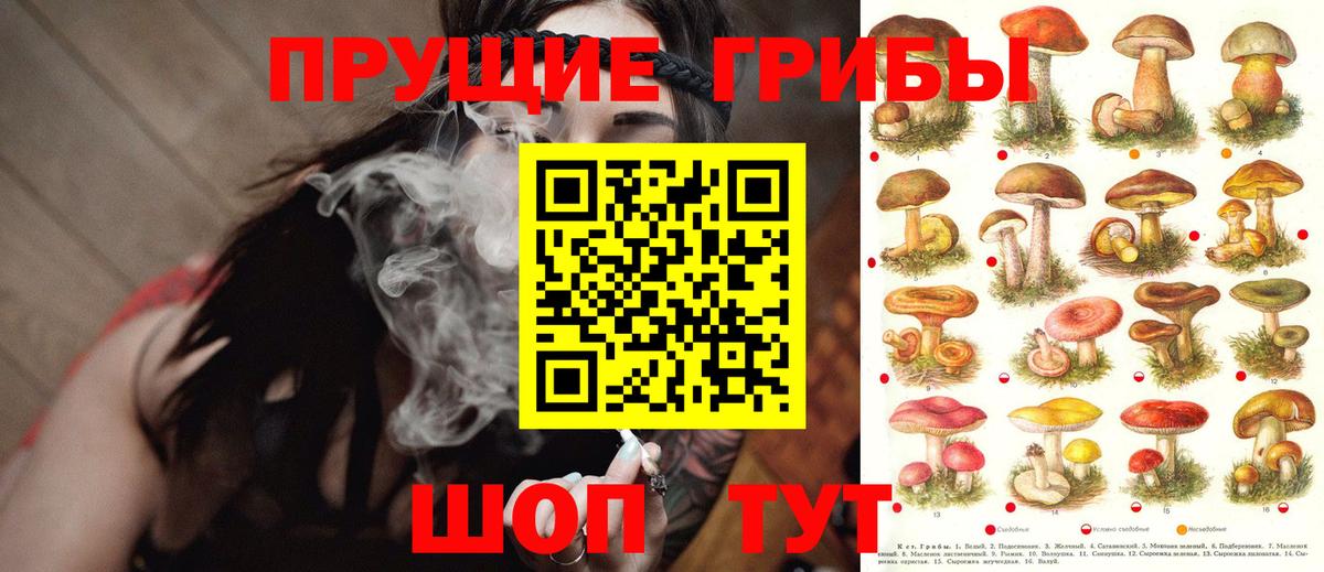 Мценск  Галлюциногенные грибы GOLDEN TEACHER  купить наркотик  Вход с VPN 